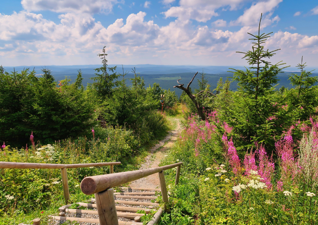 Mai-Magie im Fichtelgebirge: Dein perfekter Frühlingsurlaub in Fichtelberg